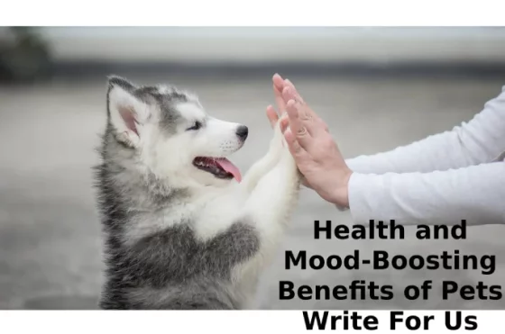 Health and Mood-Boosting Benefits of Pets Write For Us