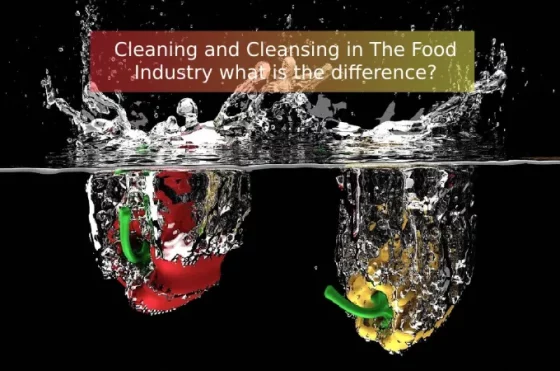 Cleaning and Cleansing in The Food Industry what is the difference?