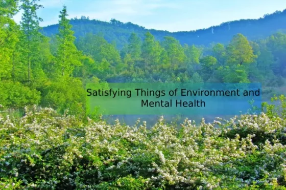 Satisfying Things of Environment and Mental Health