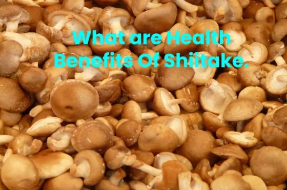 What are Health Benefits Of Shiitake.