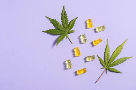 How CBD Gummies Promote Emotional Health and Wellbeing