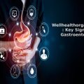 Wellhealthorganic.com : Key Signs of Gastroenteritis